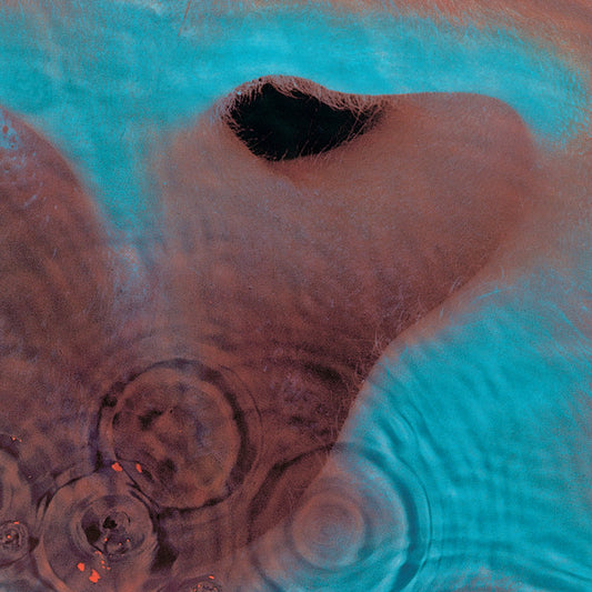 Pink Floyd – Meddle - Cd